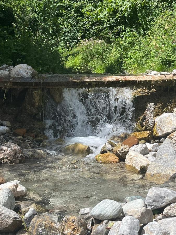Mondholz - Urban Inn 24-7 Innsbruck Eksteriør bilde